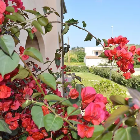 Guest 4* San Teodoro (Sardinia)