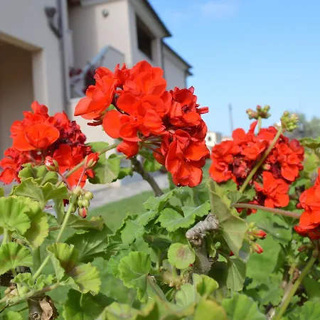 Guest Guest house San Teodoro (Sardinia)