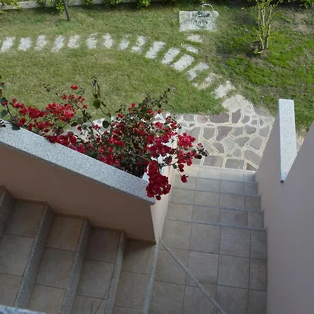Guest Guest house *