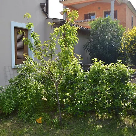 Guest Πανσιόν San Teodoro (Sardinia)