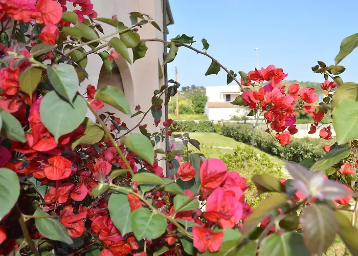 Guest 3* San Teodoro (Sardinia)