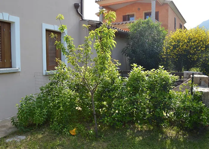 Guest Guest house San Teodoro (Sardinia)